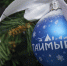 «Елка желаний» исполнит мечты! - Таймырский краеведческий музей